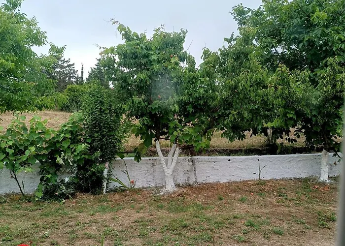 House Konstantinos Ferienhaus *